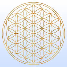 Image result for life flower