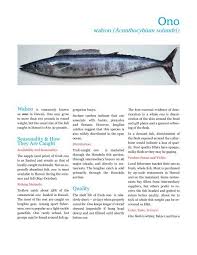 Image result for Acanthocybium solandri