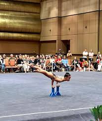 Image result for L&G Acrobatic Gymnastics