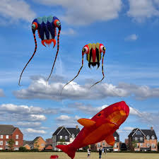 Image result for White Horse Kite Fliers Club