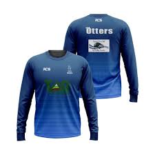 Image result for Narberth Cricket Club