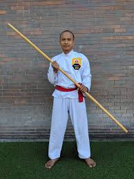 Image result for Silat Pd (Perisai Diri) UK