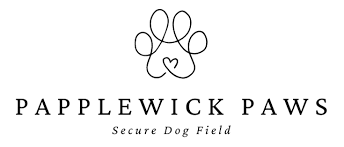 Image result for Papplewick