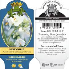 Attēlu rezultāti vaicājumam “Polemonium caeruleum flower”