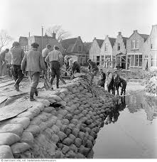 Image result for zeeland 1953