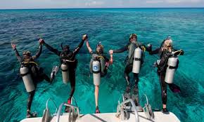 Image result for World Divers