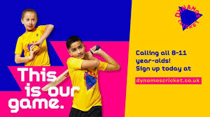 Image result for Abberton Cricket Club