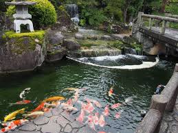 小羽　貝谷에 대한 이미지 검색결과