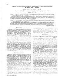 Attēlu rezultāti vaicājumam “Biscogniauxia repanda”