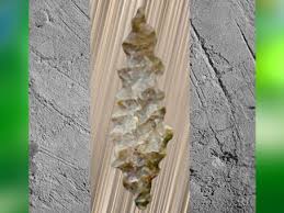 Image result for feuille-laurier-silex