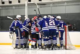 Image result for New Milton Hockey Club