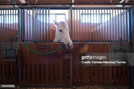 Image result for Carman Stables