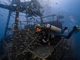 Image result for Simply Scuba