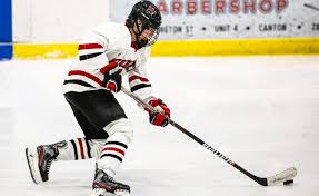 Image result for Winchester Hockey Club