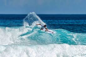 Image result for Robin Hood Dive School