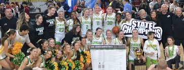 Image result for Elmbridge Girls Basketball Club