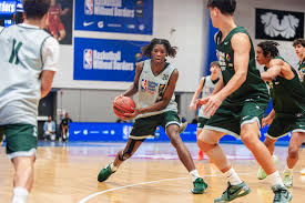 Image result for Aylesbury Dux Basketball Club