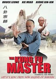 Image result for kung fu