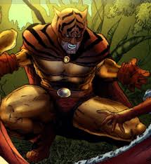 Image result for cat man