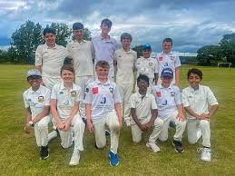 Image result for Cork County Cricket Club