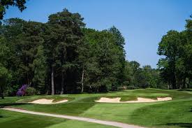 Image result for West Byfleet Golf Club
