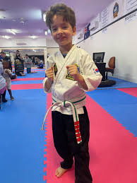 Image result for southern academy choi kwang do