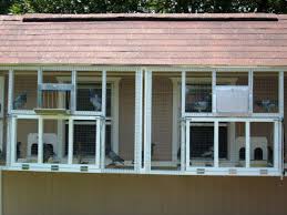 Image result for Meridian Racing Pigeon Lofts