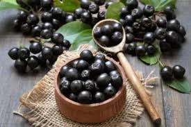 Attēlu rezultāti vaicājumam “Aronia melanocarpa fruit”