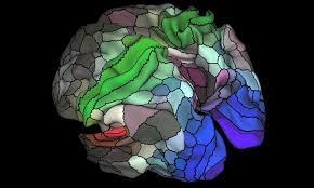 Image result for map of the brain