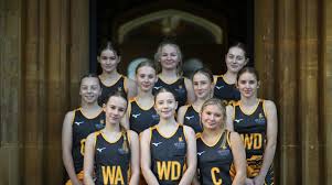 Image result for Wyvern Ladies Netball Club