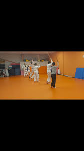 Image result for Mirfield Martial Arts Club