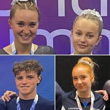 Image result for Hawth Gymnastics, Crawley