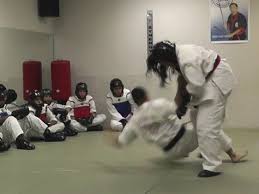 Image result for Get Into Martial Arts