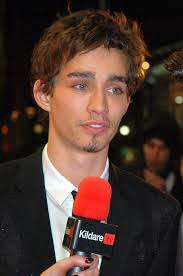Image result for Robbie Sheehan