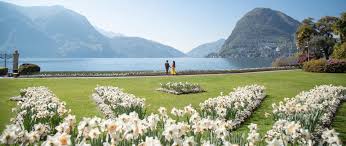 Image result for "Parco Ciani"