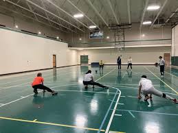 Image result for Dolphin Badminton Club