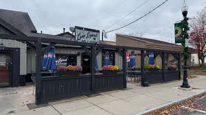 Image result for Liverpool Lizards Speedminton Club