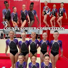 Image result for South Essex Gymnastics Club
