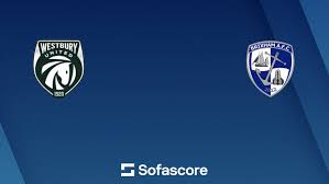 Image result for Brixham United Amateur Football Club