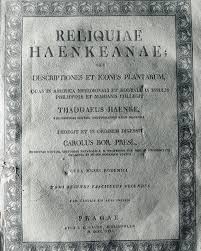 Image result for Thaddus Haenke