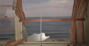 Attēlu rezultāti vaicājumam “Jalla dumosa imago”