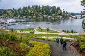 Image result for Bellevue
