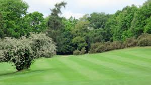 Image result for Puttenham Golf Club