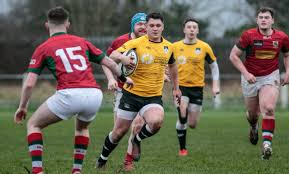 Image result for Ards Rugby Football Club