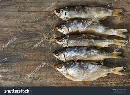 Image result for Rutilus caspicus