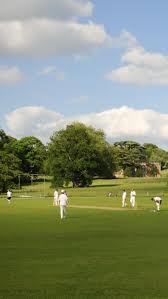 Image result for Adlestrop Daylesford & Oddington Cricket Club