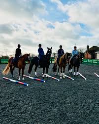 Image result for Cranleigh School Stables