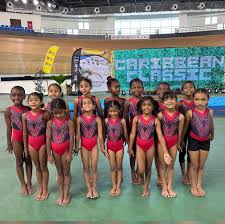 Image result for Tetbury Gymnastics Club