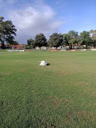 Image result for Horsley & Send Cricket Club