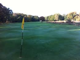 Image result for Thames Ditton & Esher Golf Club